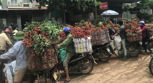 Bắc Giang biến thế mạnh địa phương thành sản phẩm có giá trị kinh tế! (6:08 giây)